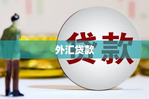 龙湾外汇贷款