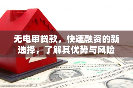 龙湾无电审贷款，快速融资的新选择，了解其优势与风险