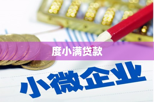 龙湾度小满贷款