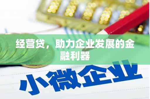 龙湾经营贷，助力企业发展的金融利器