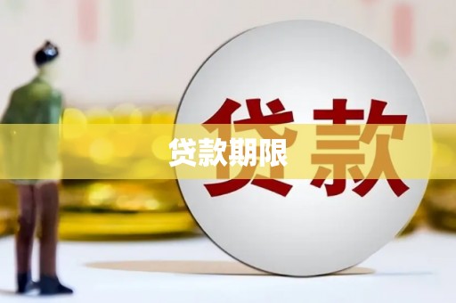 龙湾贷款期限