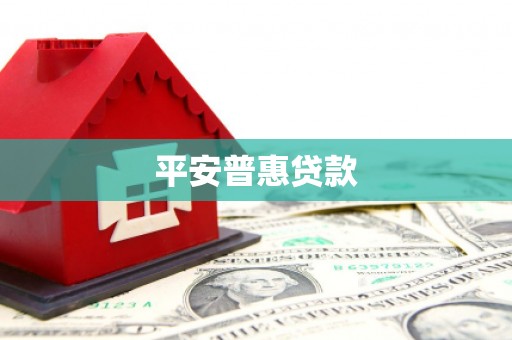 龙湾平安普惠贷款