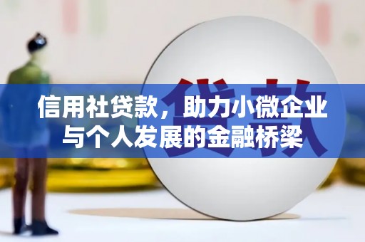 龙湾信用社贷款，助力小微企业与个人发展的金融桥梁