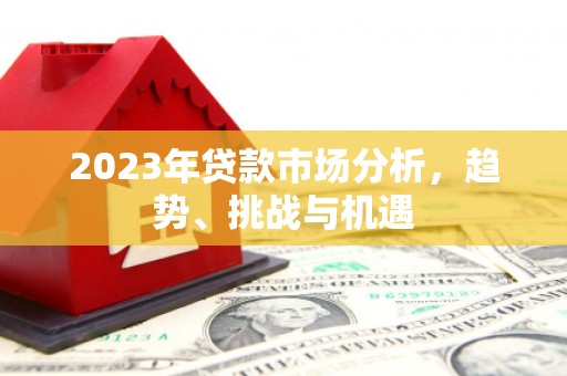 龙湾2023年贷款市场分析，趋势、挑战与机遇