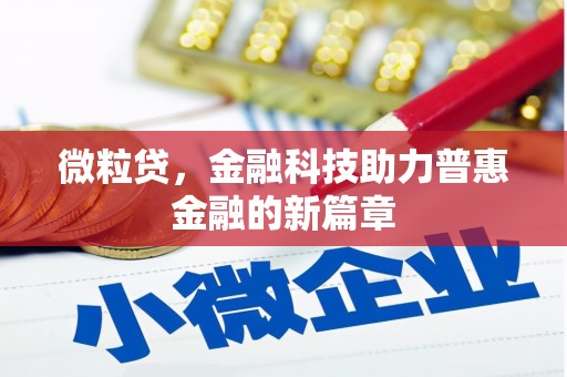 龙湾微粒贷，金融科技助力普惠金融的新篇章