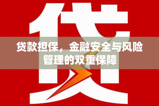 龙湾贷款担保，金融安全与风险管理的双重保障