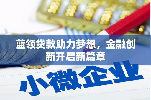 龙湾蓝领贷款助力梦想，金融创新开启新篇章