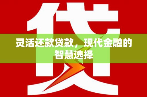 龙湾灵活还款贷款，现代金融的智慧选择