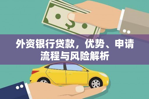 龙湾外资银行贷款，优势、申请流程与风险解析