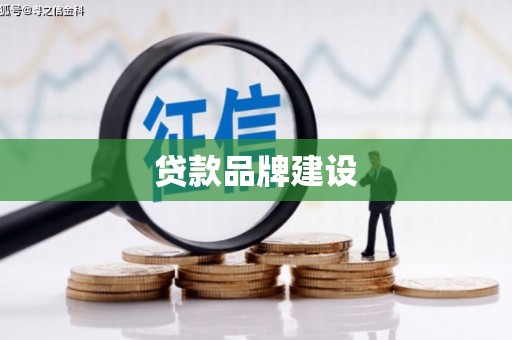 龙湾贷款品牌建设