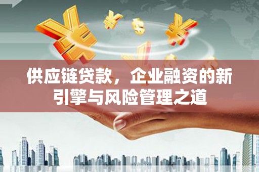 龙湾供应链贷款，企业融资的新引擎与风险管理之道