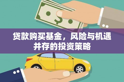 龙湾贷款购买基金，风险与机遇并存的投资策略