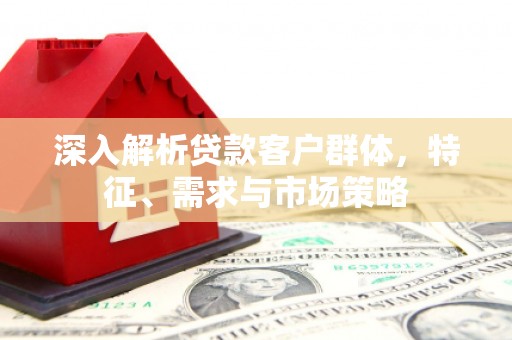 龙湾深入解析贷款客户群体，特征、需求与市场策略