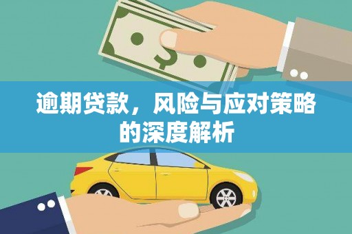 龙湾逾期贷款，风险与应对策略的深度解析
