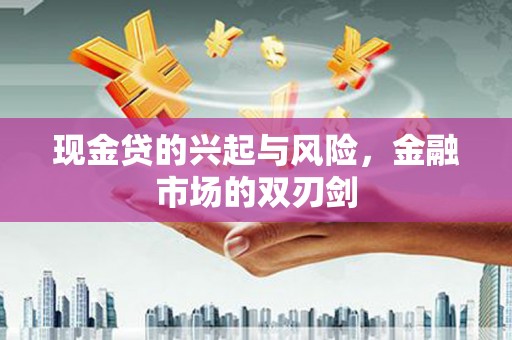 龙湾现金贷的兴起与风险，金融市场的双刃剑