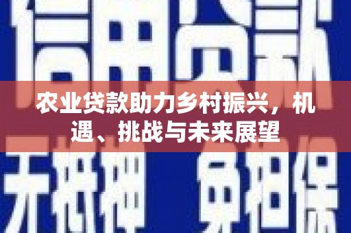 龙湾农业贷款助力乡村振兴，机遇、挑战与未来展望