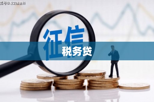 龙湾税务贷