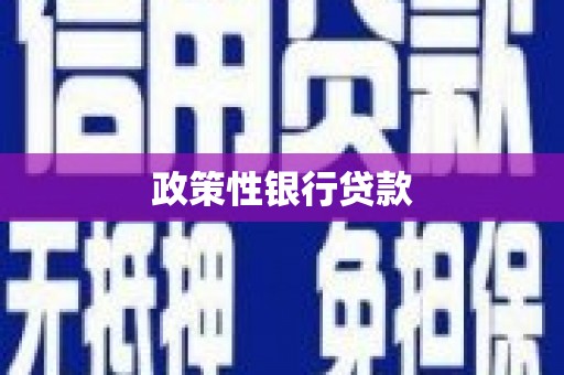龙湾政策性银行贷款