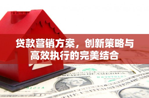 龙湾贷款营销方案，创新策略与高效执行的完美结合