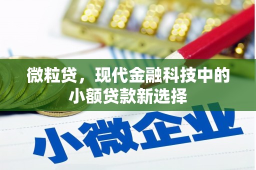 龙湾微粒贷，现代金融科技中的小额贷款新选择