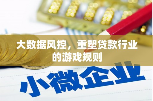 龙湾大数据风控，重塑贷款行业的游戏规则
