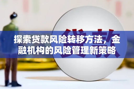 龙湾探索贷款风险转移方法，金融机构的风险管理新策略