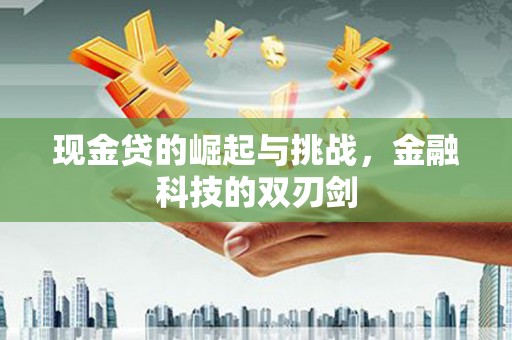 龙湾现金贷的崛起与挑战，金融科技的双刃剑