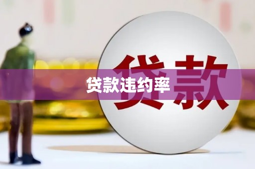 龙湾贷款违约率