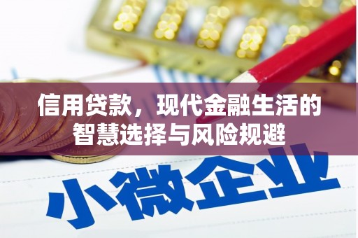 龙湾信用贷款，现代金融生活的智慧选择与风险规避