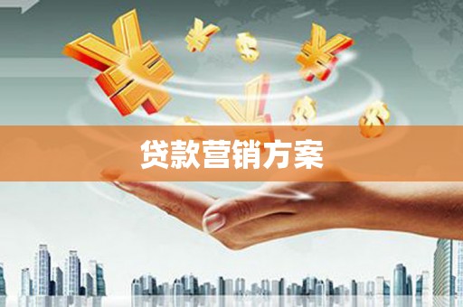 龙湾贷款营销方案