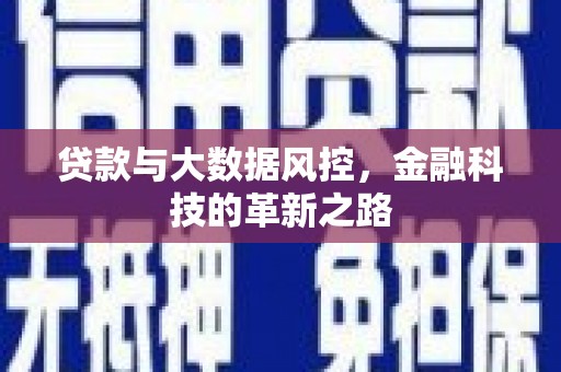 龙湾贷款与大数据风控，金融科技的革新之路