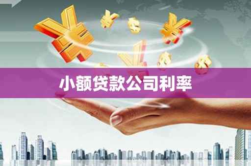 龙湾小额贷款公司利率