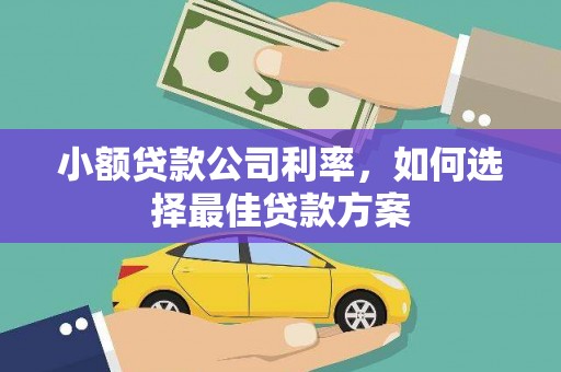龙湾小额贷款公司利率，如何选择最佳贷款方案