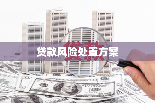 龙湾贷款风险处置方案