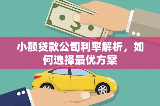 龙湾小额贷款公司利率解析，如何选择最优方案