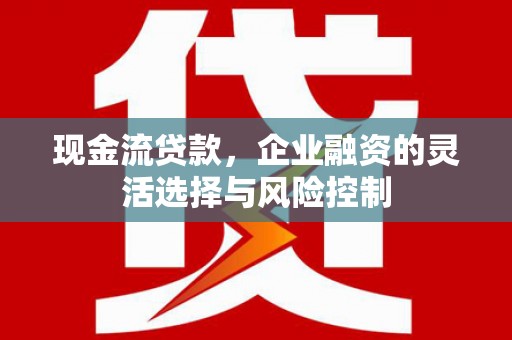 龙湾现金流贷款，企业融资的灵活选择与风险控制