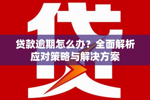 龙湾贷款逾期怎么办？全面解析应对策略与解决方案