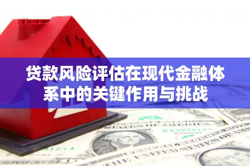龙湾贷款风险评估在现代金融体系中的关键作用与挑战