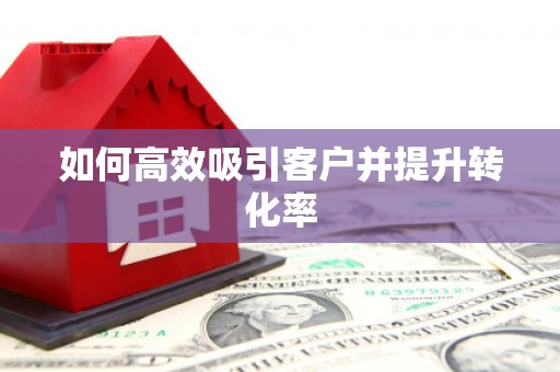 龙湾如何高效吸引客户并提升转化率