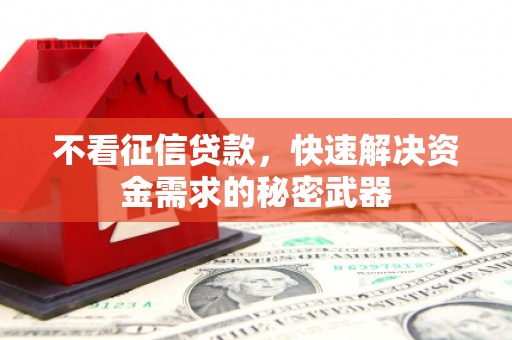 龙湾不看征信贷款，快速解决资金需求的秘密武器