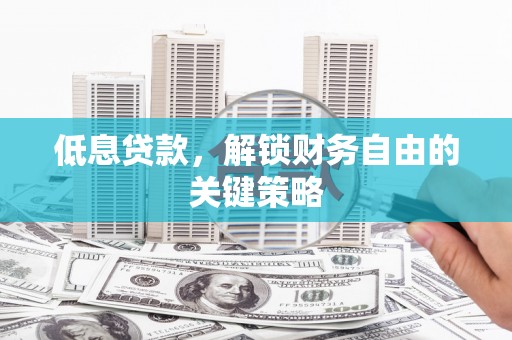 龙湾低息贷款，解锁财务自由的关键策略