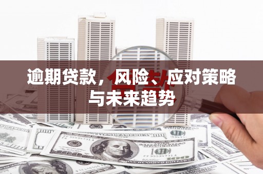 龙湾逾期贷款，风险、应对策略与未来趋势