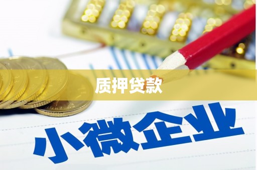 龙湾质押贷款
