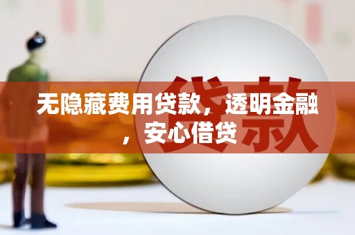 龙湾无隐藏费用贷款，透明金融，安心借贷