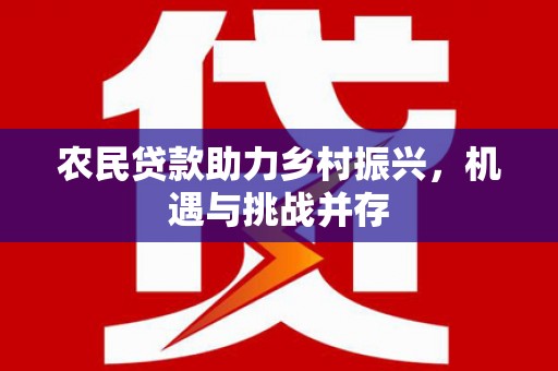 龙湾农民贷款助力乡村振兴，机遇与挑战并存