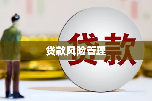 龙湾贷款风险管理