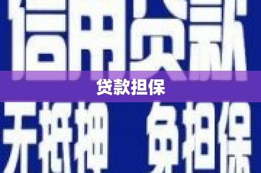 龙湾贷款担保
