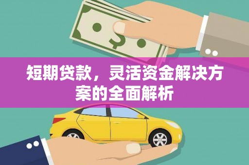 龙湾短期贷款，灵活资金解决方案的全面解析