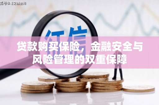 龙湾贷款购买保险，金融安全与风险管理的双重保障