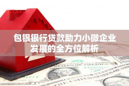 龙湾包银银行贷款助力小微企业发展的全方位解析